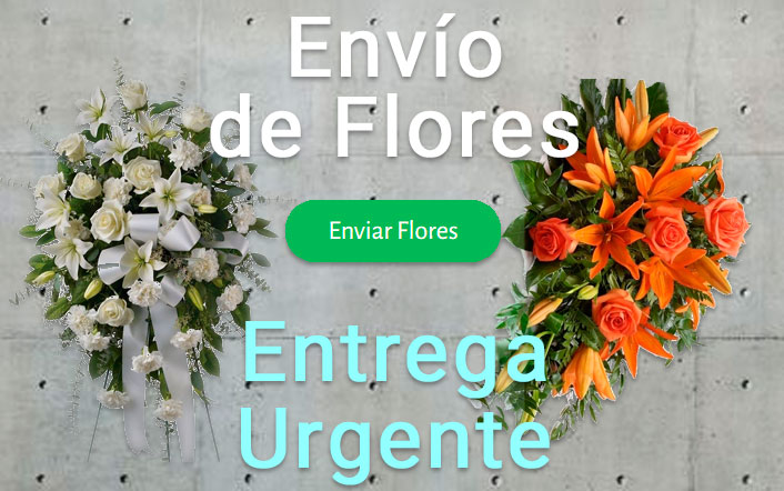 Envio de flores urgente a Tanatorio San Sebastián